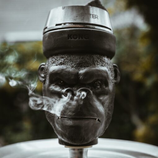 Kong King Kong Nargile Lülesi