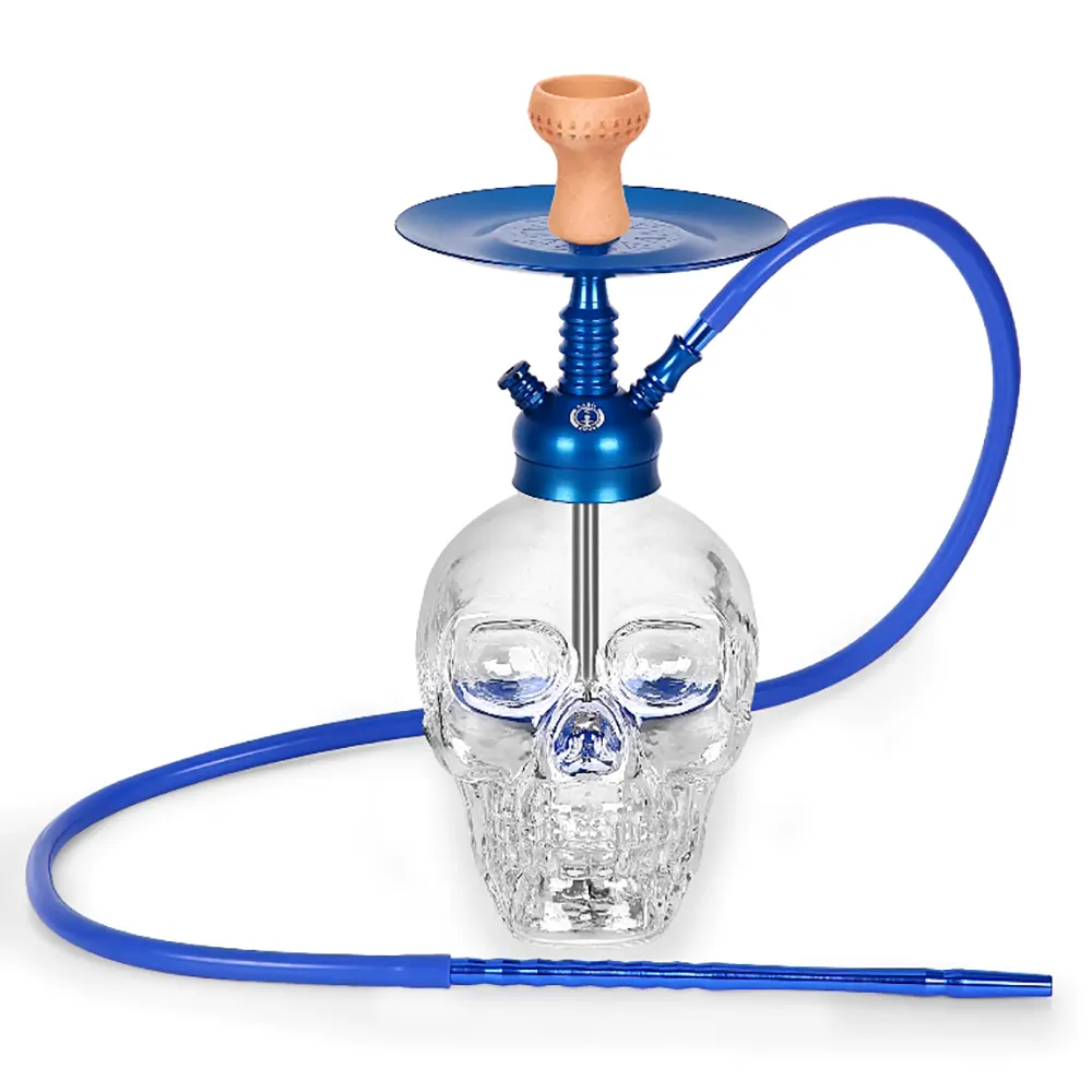 Büyük Kuru Kafa Nargile Takımı - Görsel 4