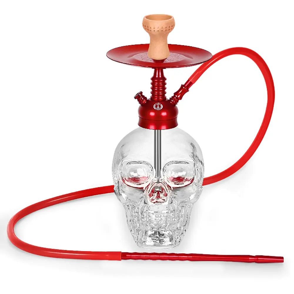 Büyük Kuru Kafa Nargile Takımı - Görsel 5